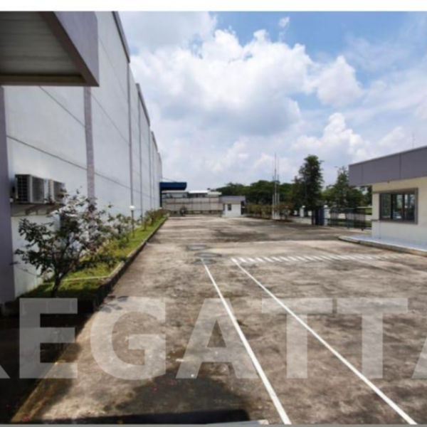 Gudang Premium Delta Silicon 3